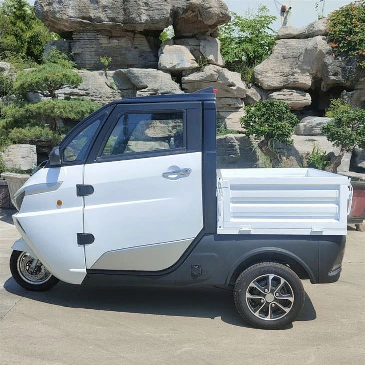 3 Wheel Tricycle Motorcycle Electric Tricycles Passenger For Adult With Folding Cargo Box