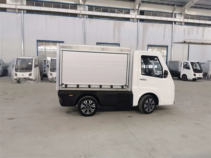 Electric Pickup Truck - Mini Size For Warehouse & Household Delivery best